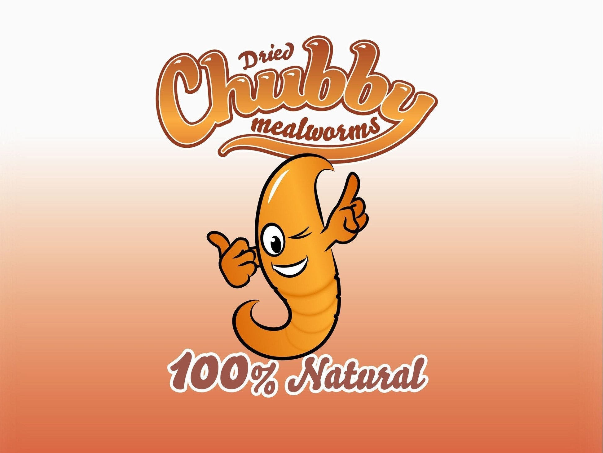 5-pound bag of Chubby Dried Mealworms by Chubby Mealworms USA, showing dried, crunchy mealworms in a clear bag.