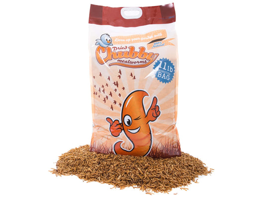 Chubby Mealworms USA 11lbs dried mealworms in a clear plastic bag, showing small, brown dried mealworms for bird or reptile feed.