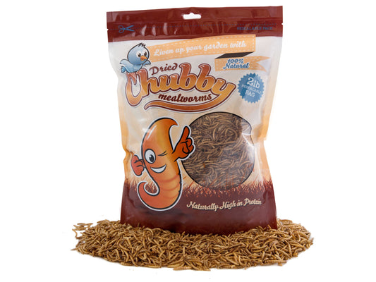 2-pound bag of Chubby Dried Mealworms from Chubby Mealworms USA, showing dried, crunchy mealworms in a clear bag.