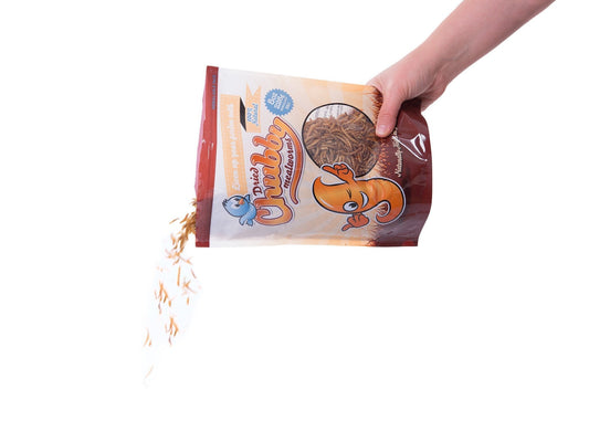 2-pound bag of Chubby Mealworms USA dried mealworms, showing small, brown dried insect worms suitable for bird and pet feeding.