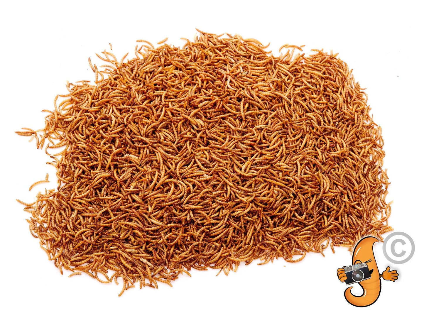 2-pound bag of Chubby Mealworms USA dried mealworms, visible in a clear plastic bag, ideal for bird or pet feeding