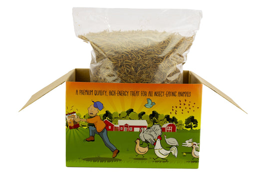 3Lb box of Chubby Dried Mealworms by Chubby Mealworms USA, limited edition Coop Dreams packaging for poultry or bird feed