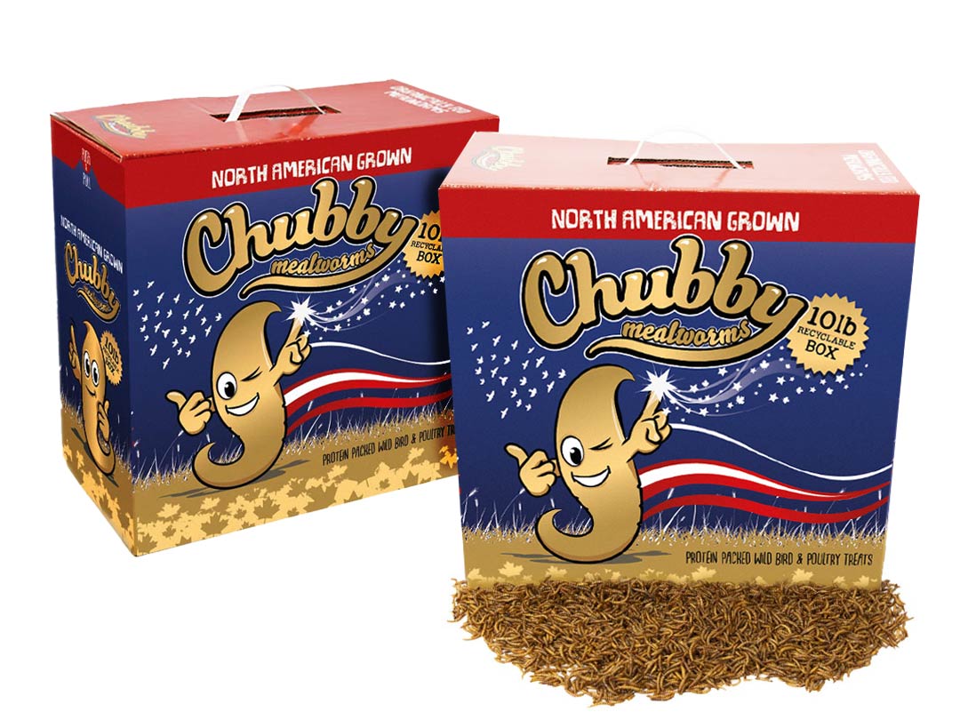 20Lbs Chubby North American Grown Dried Mealworms in recyclable boxes by Chubby Mealworms USA, non-GMO, Montreal grown.