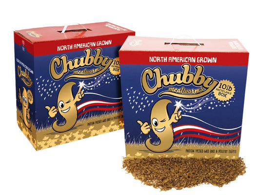 20Lbs Chubby North American Grown Dried Mealworms in recyclable boxes by Chubby Mealworms USA, non-GMO, Montreal grown.