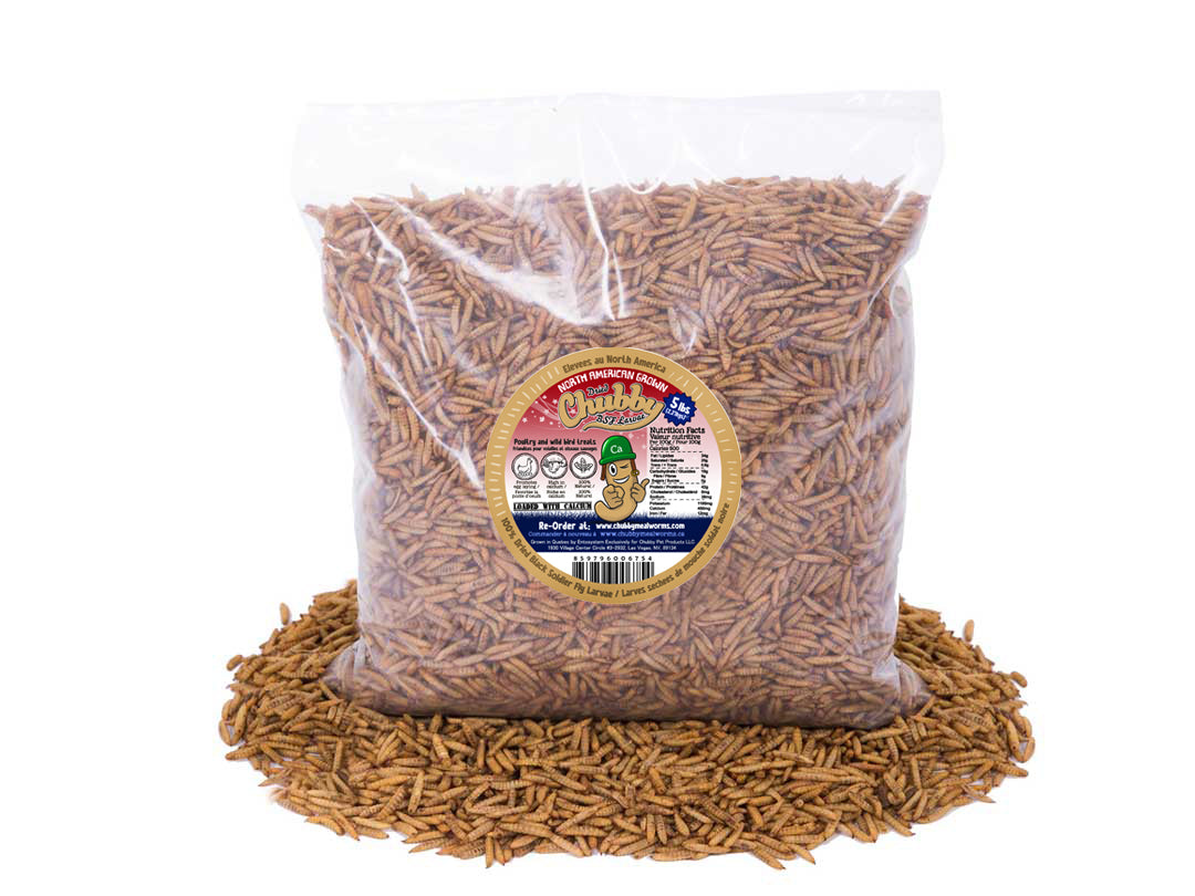 5lb Chubby Dried Black Soldier Fly Larvae by Chubby Mealworms USA, North American grown, non-GMO insect protein in a resealable bag