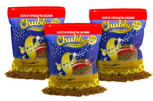 Chubby Mealworms USA 7.5Lbs North American Grown Dried Mealworms, Montreal Grown, Non-GMO pet food in a clear bag