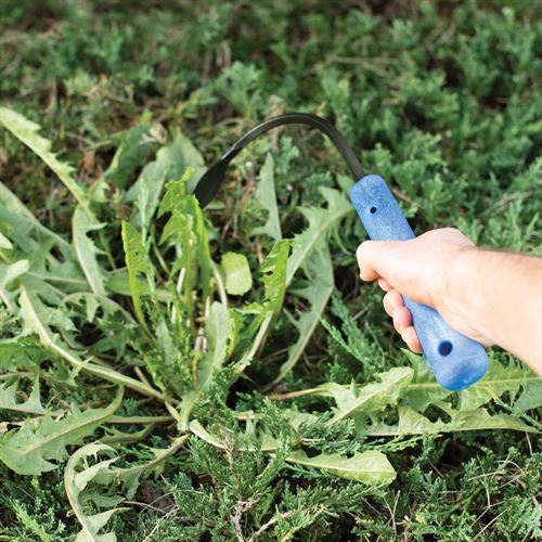 Original CobraHead garden weeder and cultivator tool with ergonomic handle and sharp curved blade for garden weeding and cultivating.