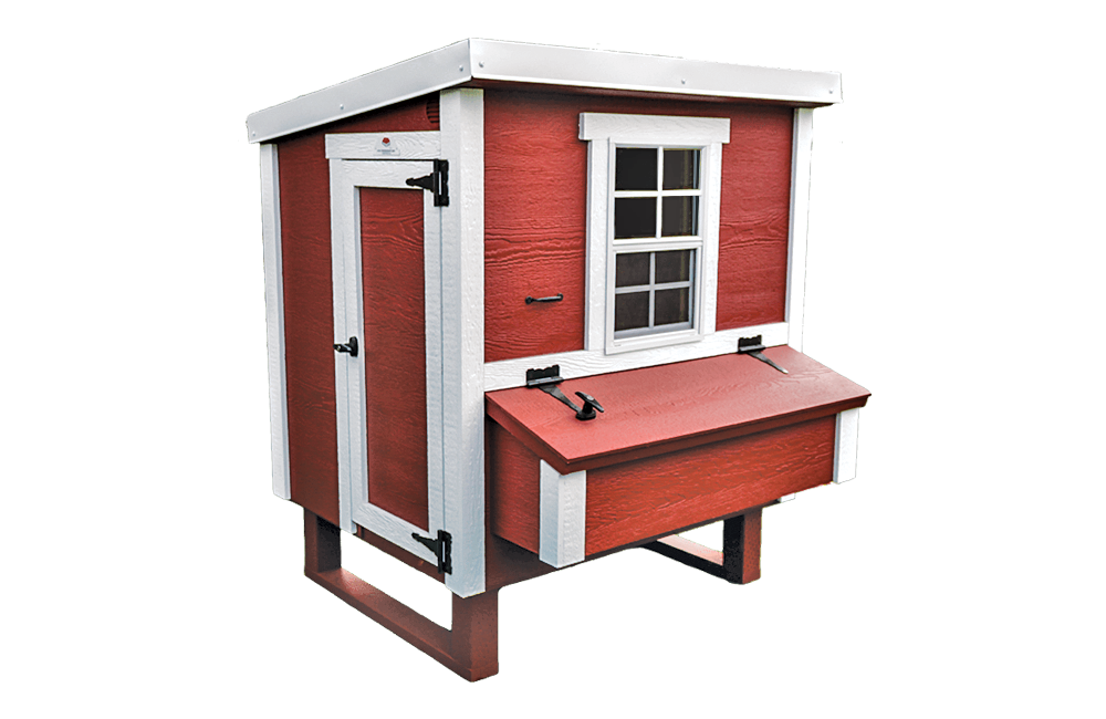 Medium OverEZ Chicken Coop for up to 10 chickens, featuring a bright design and spacious outdoor enclosure for backyard poultry.