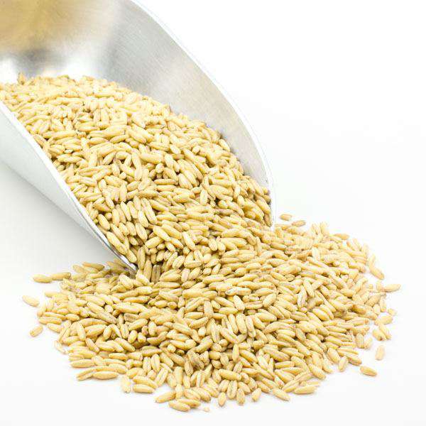 Organic whole oat groats from Country Life Natural Foods, showing the textured, whole oats in a 5 lb package.