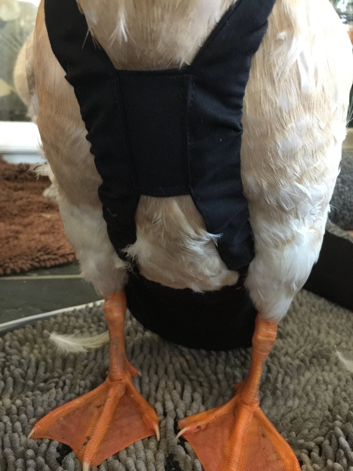 Crazy K Farm duck and goose diaper with removable liners, featuring a fixed chest tab on the tiger runner duck holster.