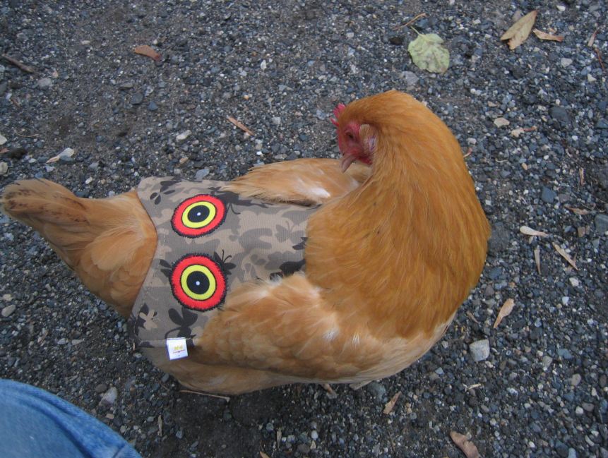 Navy hen saddle by Crazy K Farm Pet and Poultry, small size, single strap back style, made in USA for bantam hens.