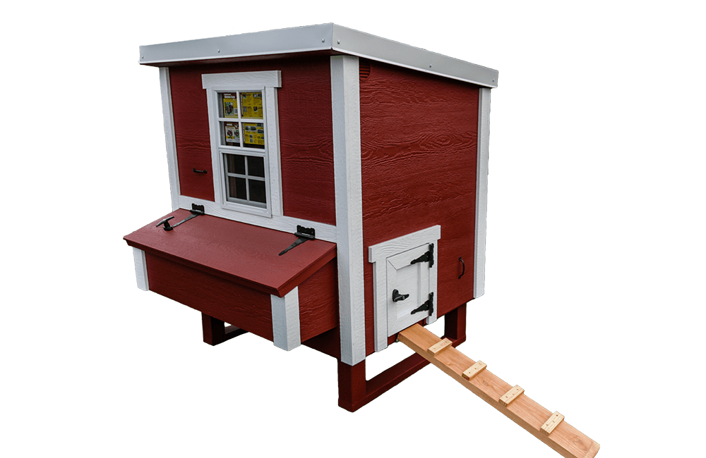 Medium OverEZ Chicken Coop designed for up to 10 chickens, featuring a spacious outdoor shelter and secure nesting areas.