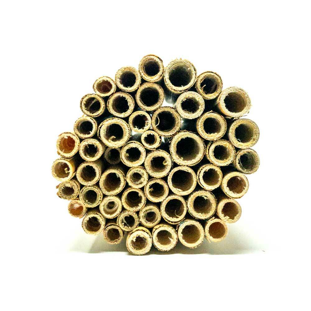 Natural 6mm Summer Reeds for Leaf Bees, designed by CrownBees, shown for bee nesting and habitat enhancement.