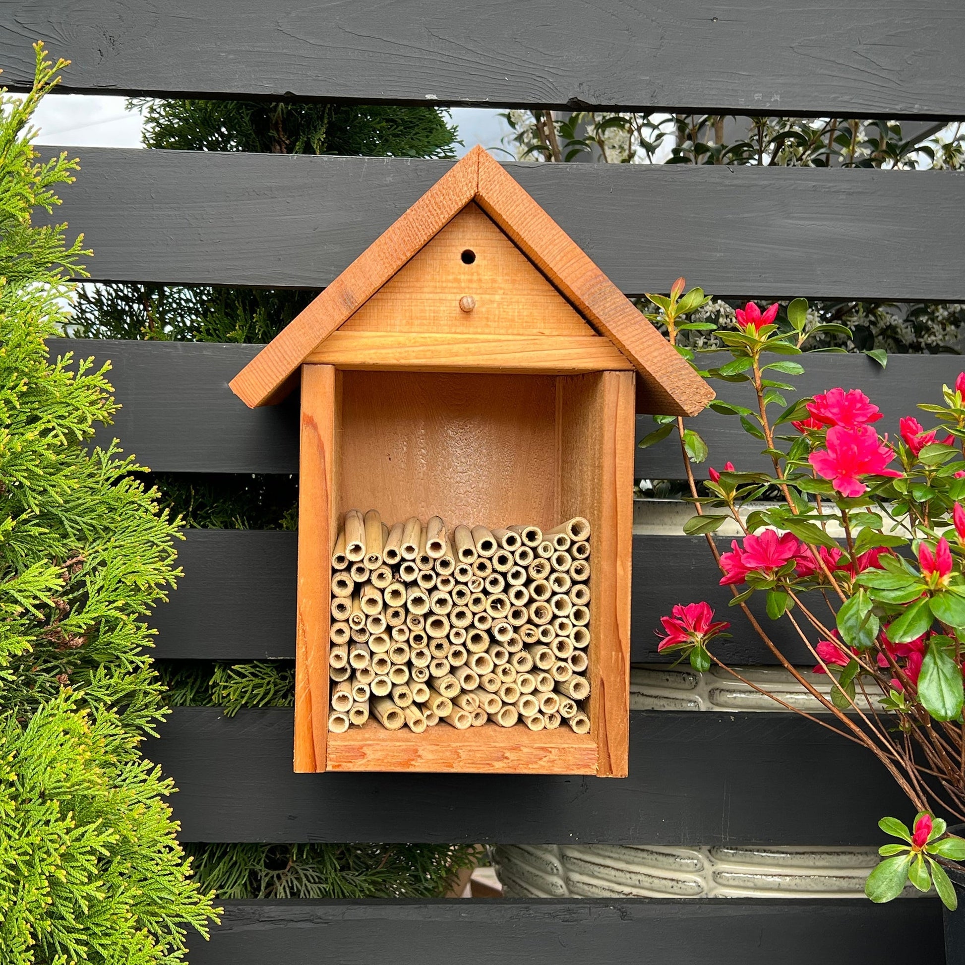 Spring Natural Reeds for Mason Bees by CrownBees, 8mm diameter, showing a bundle of reed tubes designed for bee nesting.