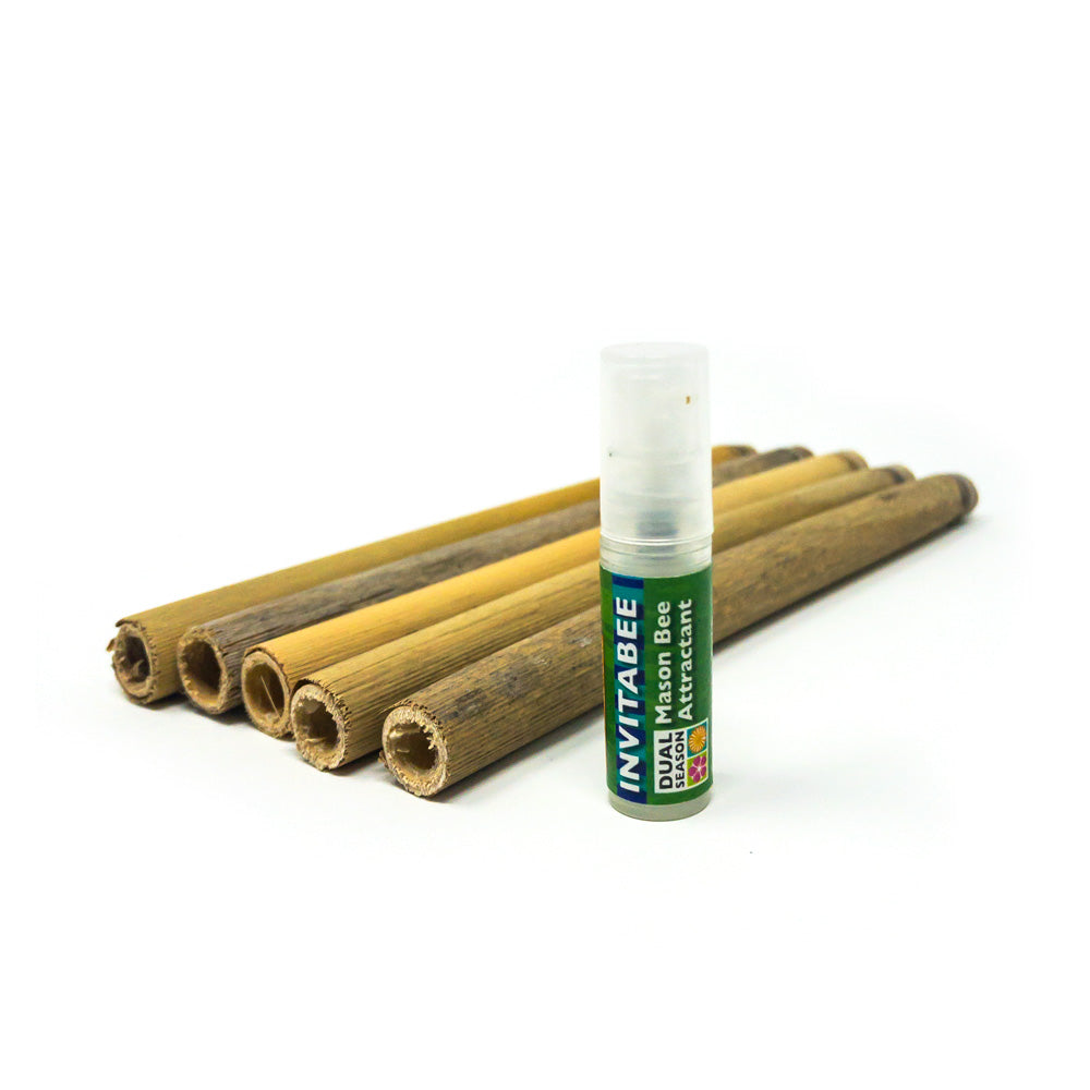 CrownBees InvitaBee Mason Bee Attractant in a clear container, designed to attract and support mason bee populations.