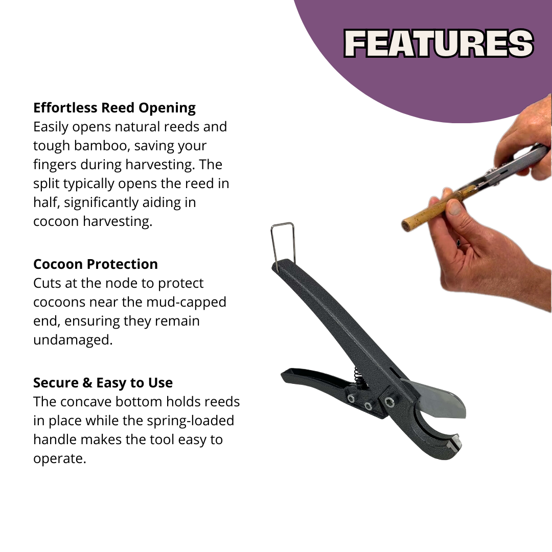 CrownBees Reed Splitter tool used for splitting reed material for bee hive frames and beekeeping projects.