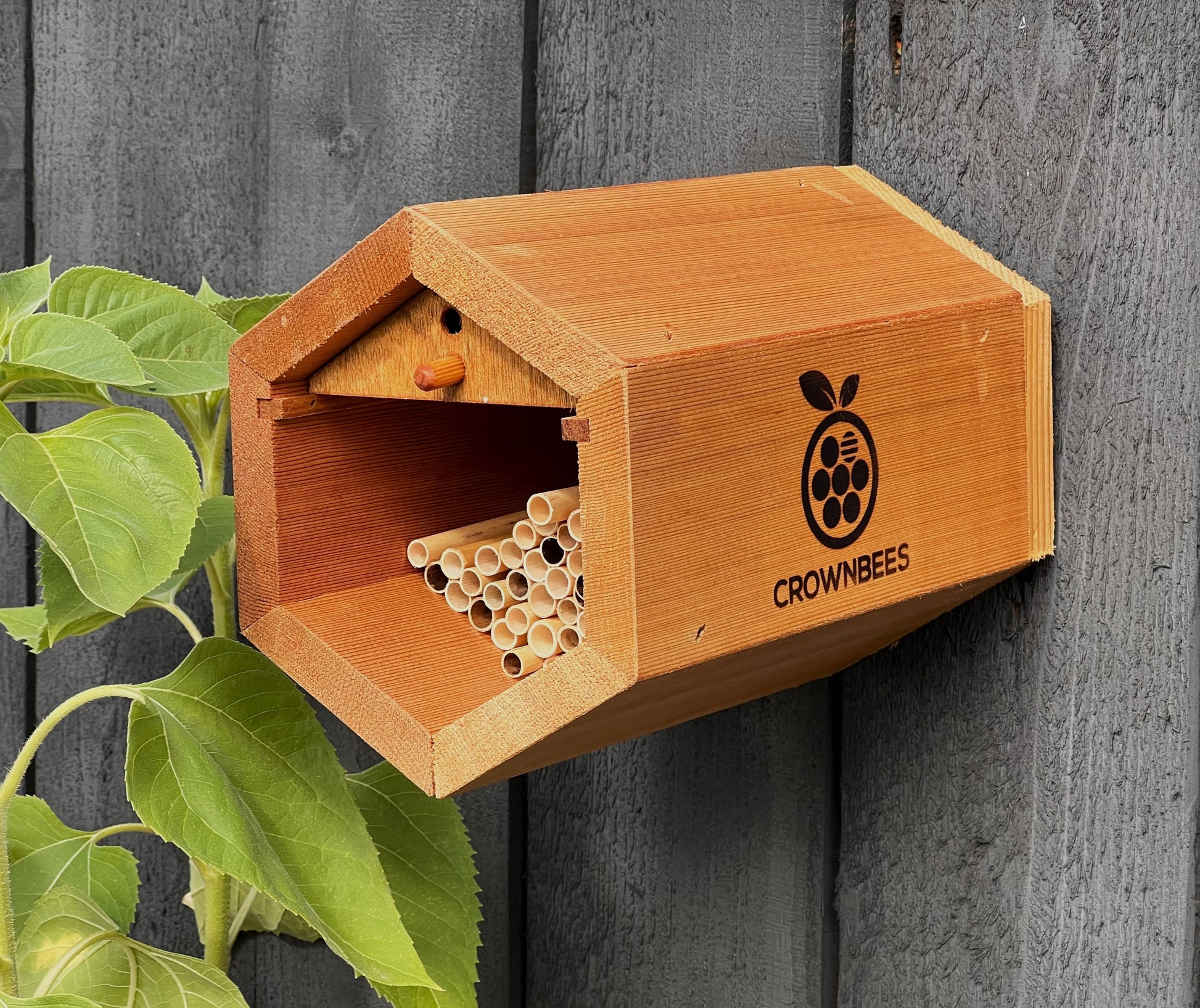 CrownBees Cabana Bee House and Complete Kit with Bee Certificate, featuring wooden bee habitat and accessories for Mason bees.
