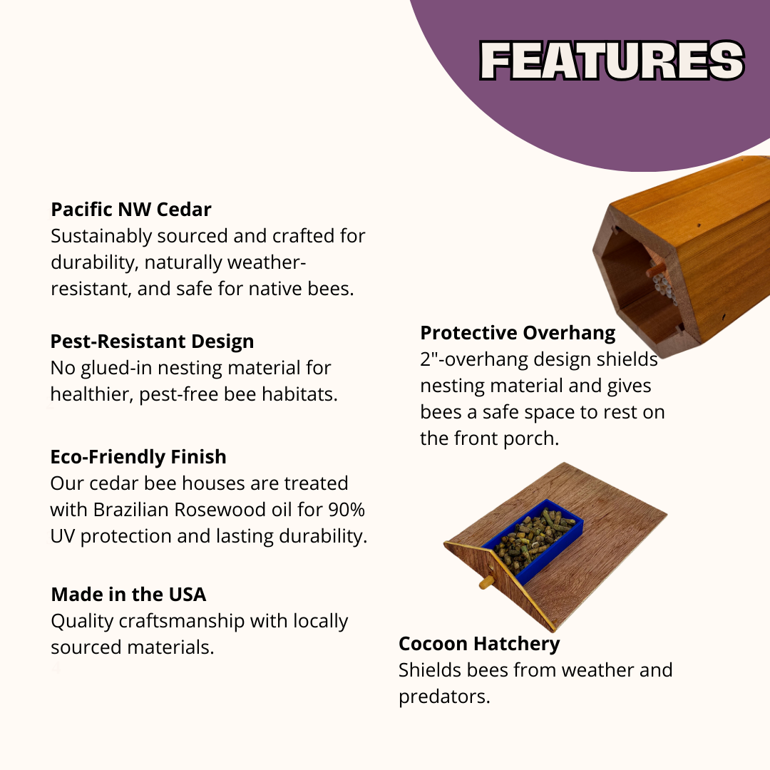 CrownBees Cabana Bee House complete kit with bee certificate, featuring a wooden bee house for mason bees in spring weather.