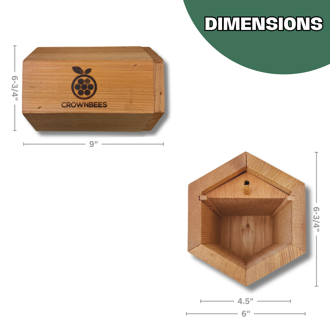 CrownBees Cabana Bee House and Complete Kit with Bee Certificate, outdoor bee habitat with nesting tubes and educational materials