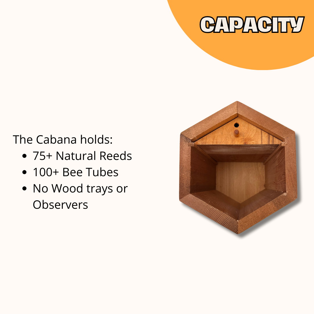 CrownBees Cabana Bee House and Complete Kit with Bee Certificate, includes nesting boxes and tools for mason bees.