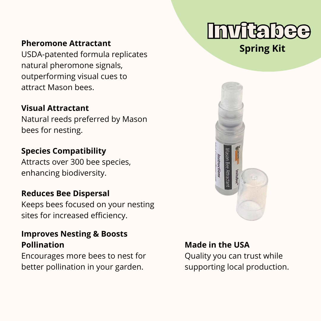CrownBees Cabana Bee House with complete kit and bee certificate, outdoor bee habitat for Mason bees in spring weather