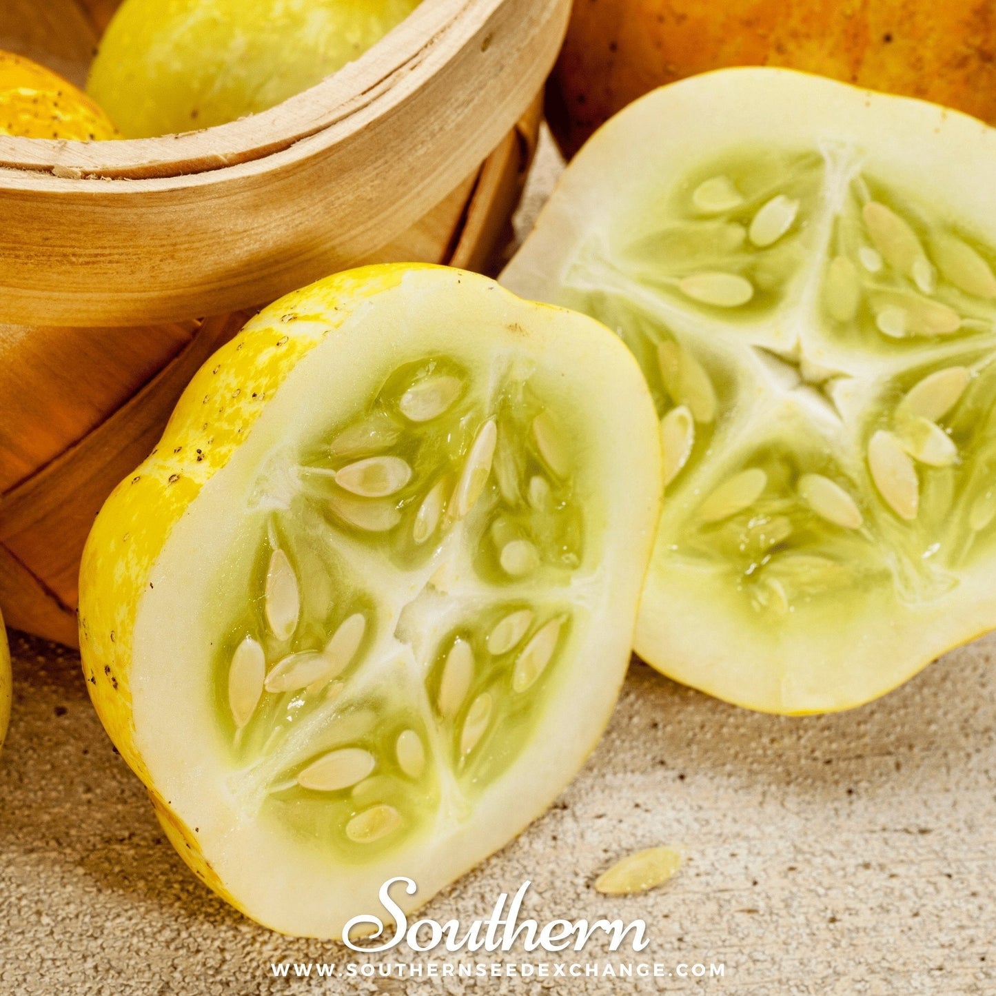 Lemon Cucumber plant with ripe yellow fruits and green leaves, grown from Southern Seeds Lemon Cucumber seeds.