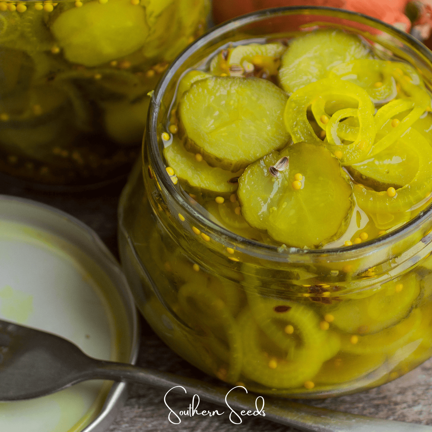 National Pickling cucumber seeds by Southern Seeds, showing fresh green cucumber bunches with 30 seeds in the package.
