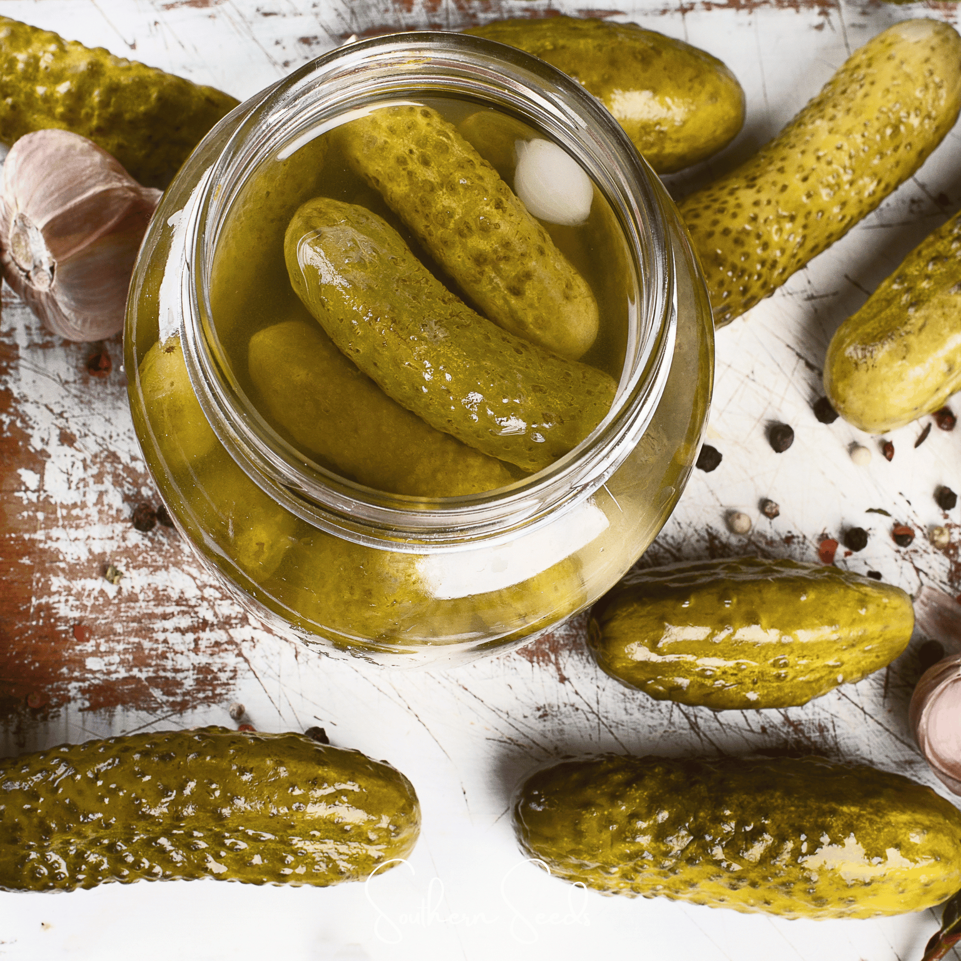 Pack of 30 National Pickling Cucumber seeds by Southern Seeds, fresh cucumber seeds for home gardening.