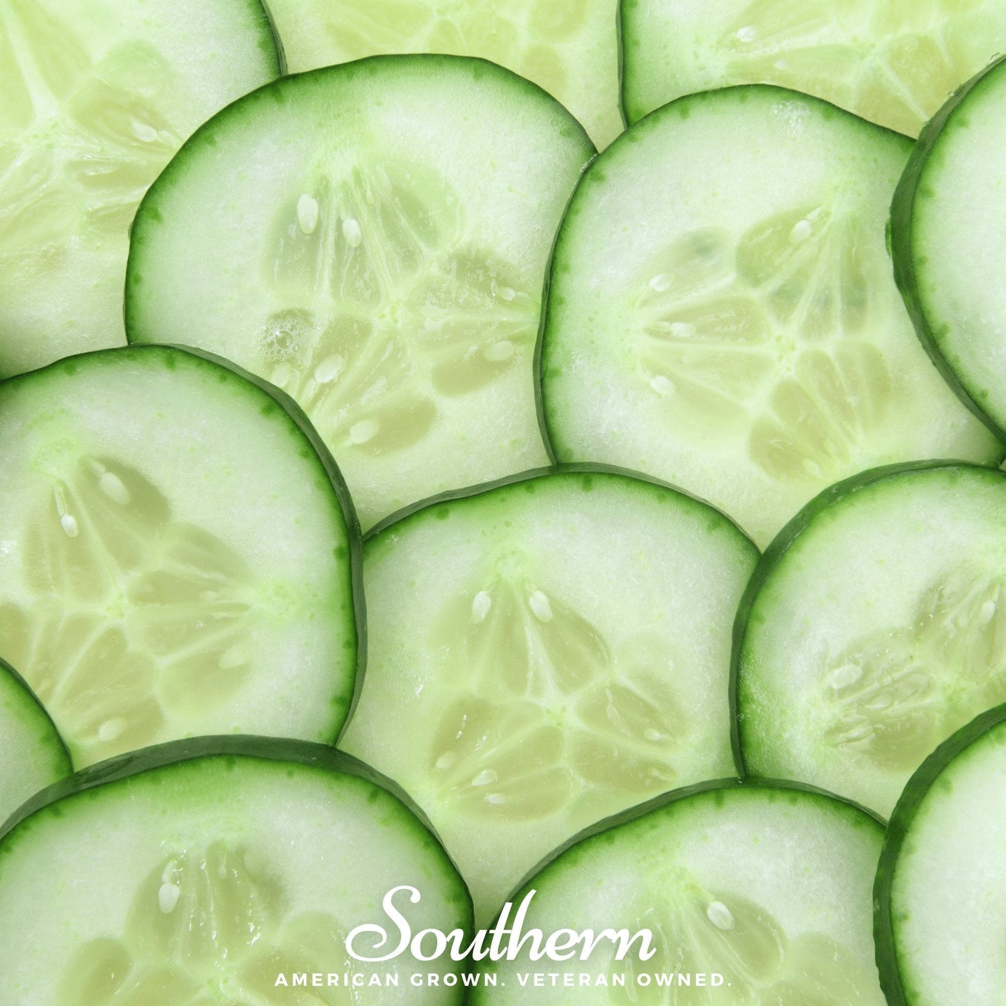 Spacemaster Cucumber seeds by Southern Seeds, 30 seeds for growing crisp, high-yield cucumbers in your garden.