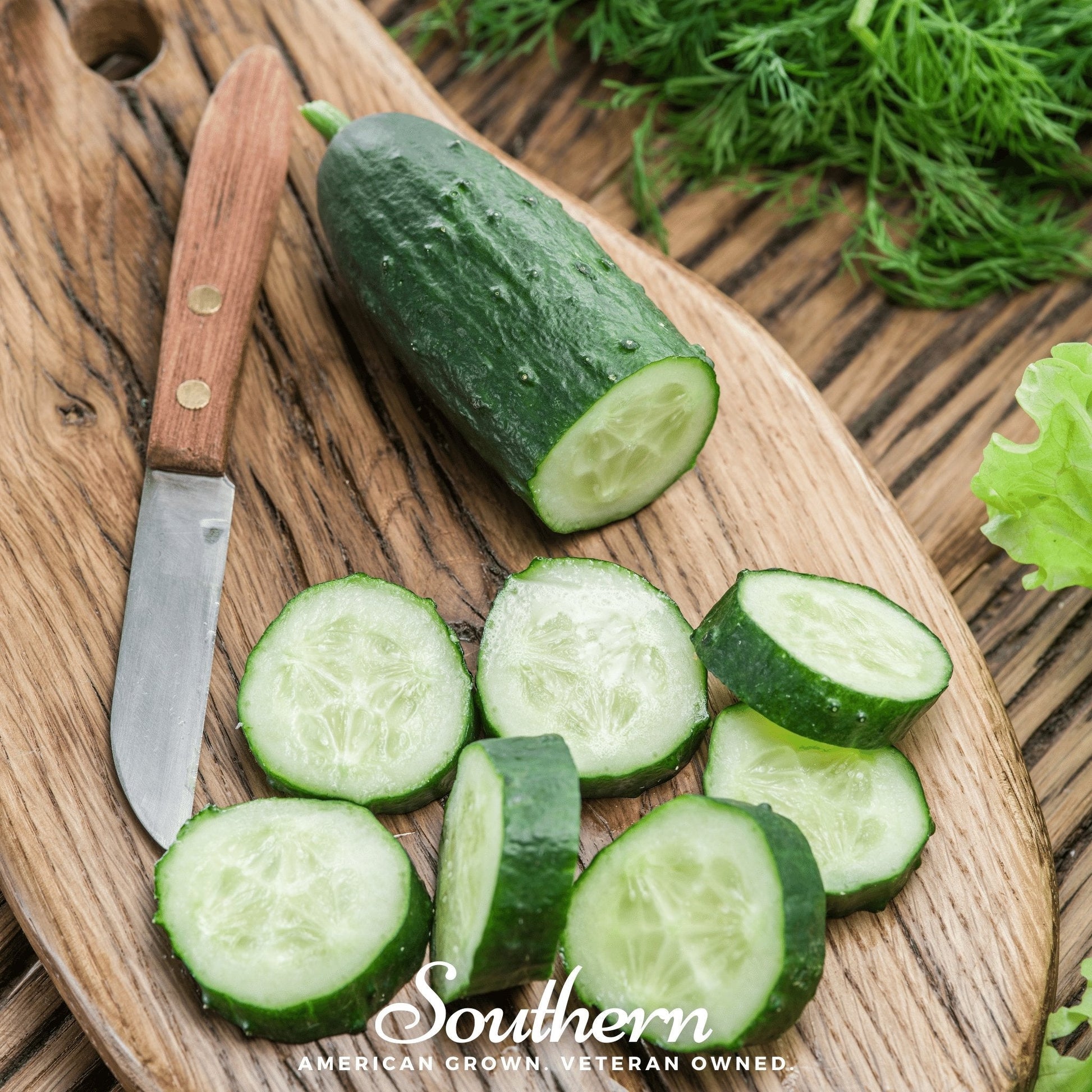 Spacemaster cucumber plant with lush green vines, grown from Southern Seeds Spacemaster Cucumber seeds, 30 seeds in pack.