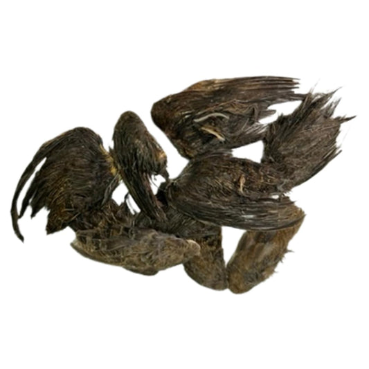 Small Undique Quail Wings for dog training, 10 count, natural pet treats from Quailz.com by Undique LLC, shown in a close-up image.
