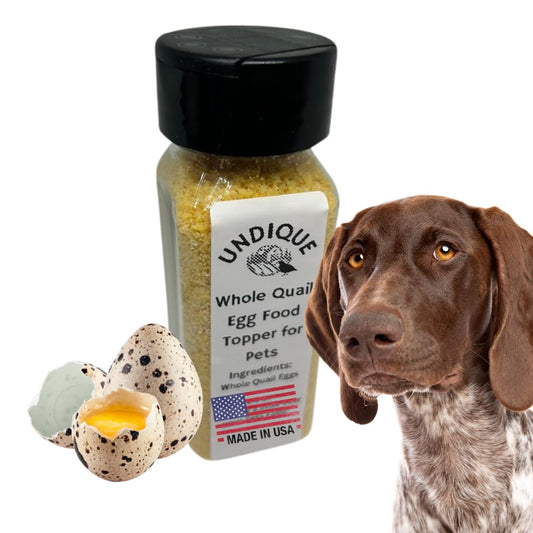 Quailicious Boost pet food enhancer by Quailz.com showing whole quail eggs as a healthy dog food topper for energy and shiny coat