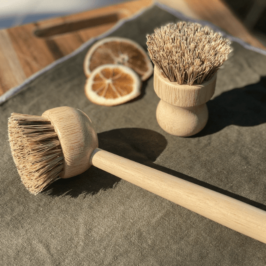 Tilley + Me eco-friendly bamboo dishwashing brush with handle and palm fiber bristles, ideal for cleaning dishes and cookware.