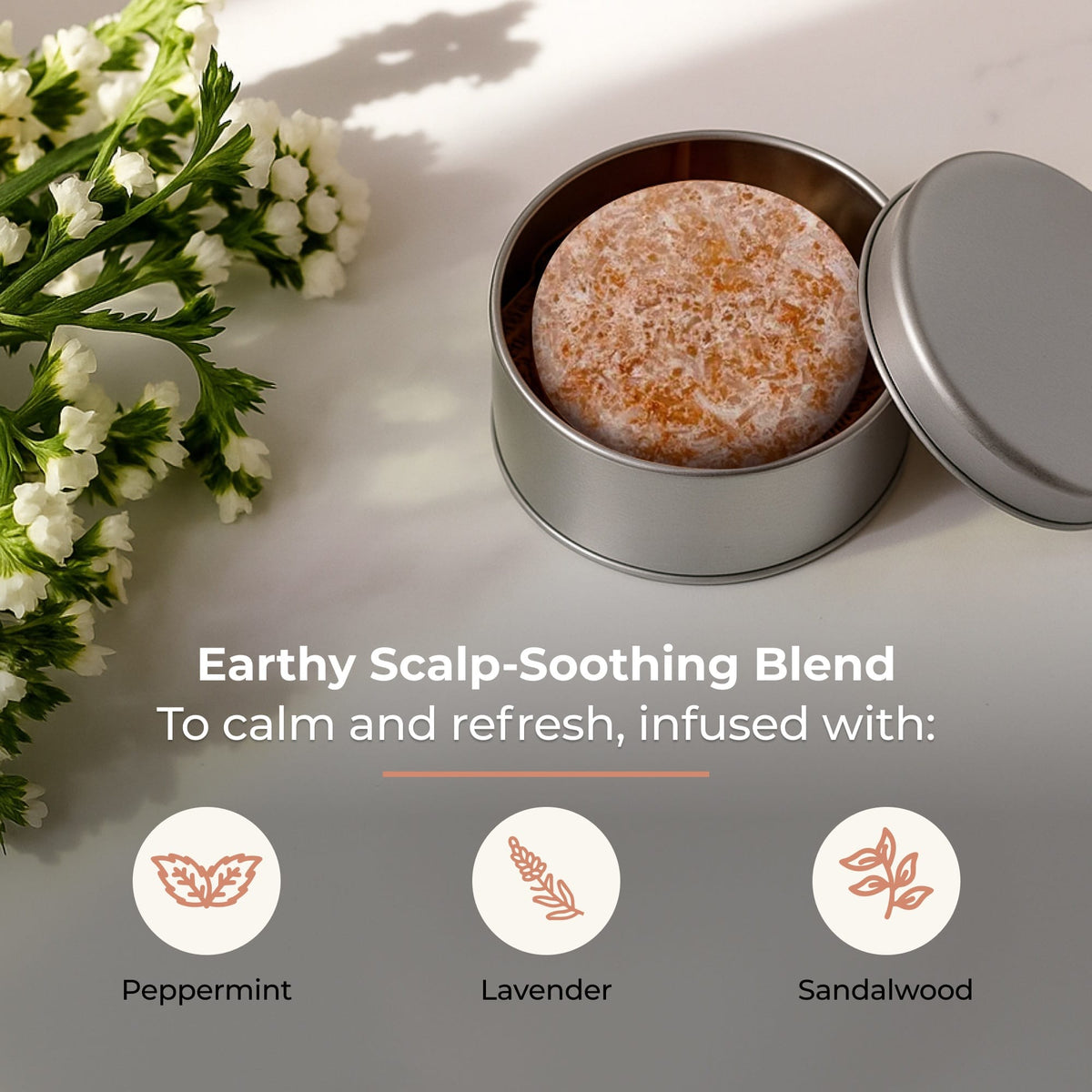 Driftwood-scented ZeroWasteStore.com shampoo bar with natural wooden packaging and a textured, eco-friendly design.
