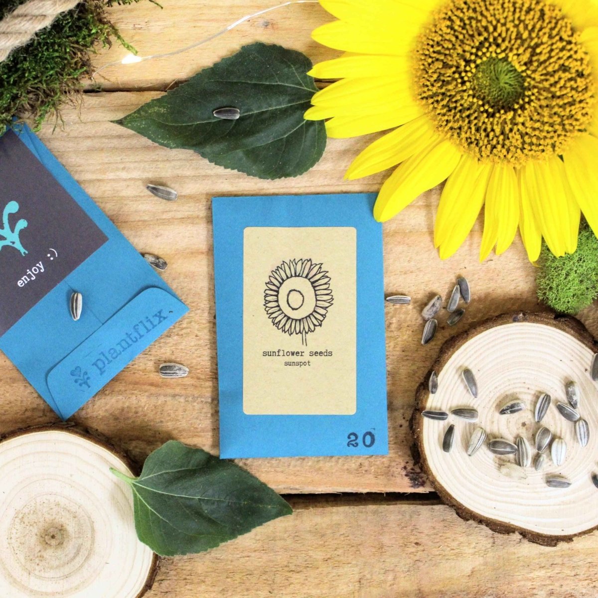 Dwarf sunflower beginner grow kit with flower seed packets and planting supplies, perfect for starting sunflower cultivation at home.