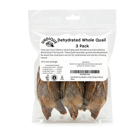 Dehydrated whole quail for bird dog training or falconry, from Quailz.com, showing a realistic-looking bird ready for outdoor use.