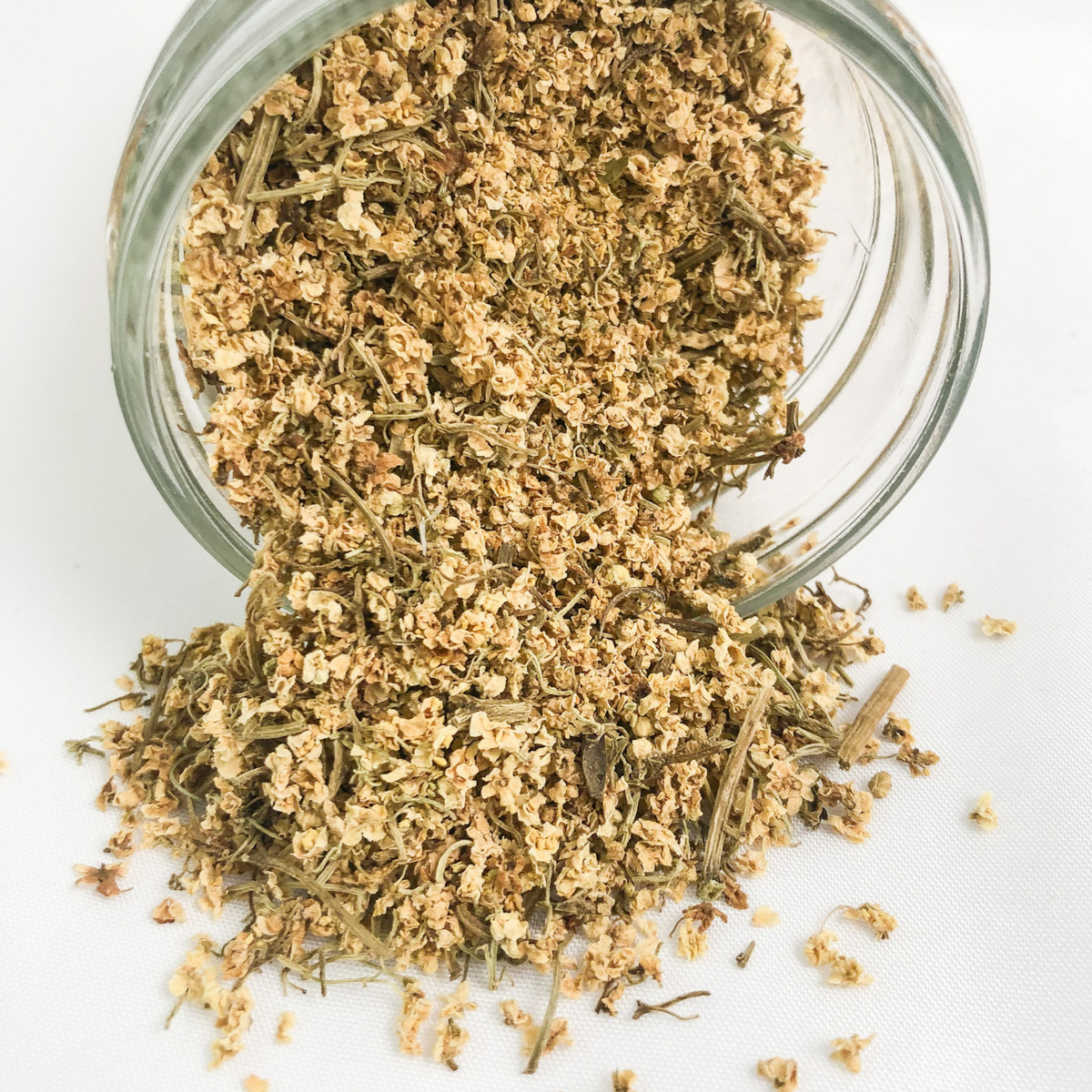 Close-up of HerbalRoseApothecary dried elderflower herbs in small jar, showing delicate white elderflower blossoms.