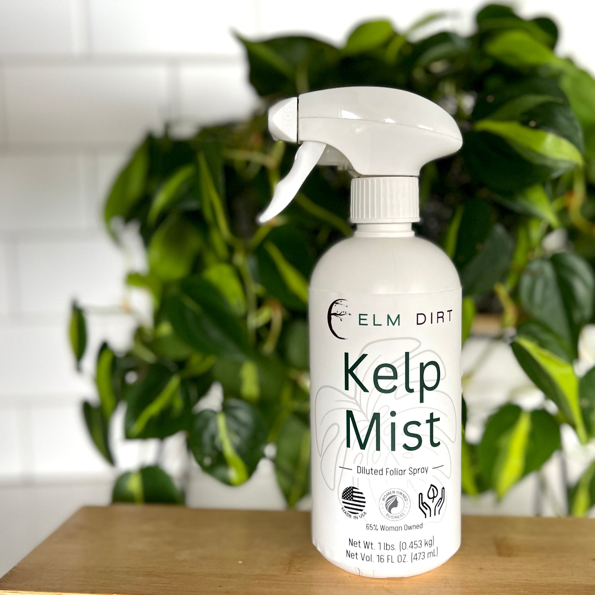 Elm Dirt Kelp Mist in a 16 oz spray bottle, featuring natural kelp extract for plant hydration and growth.