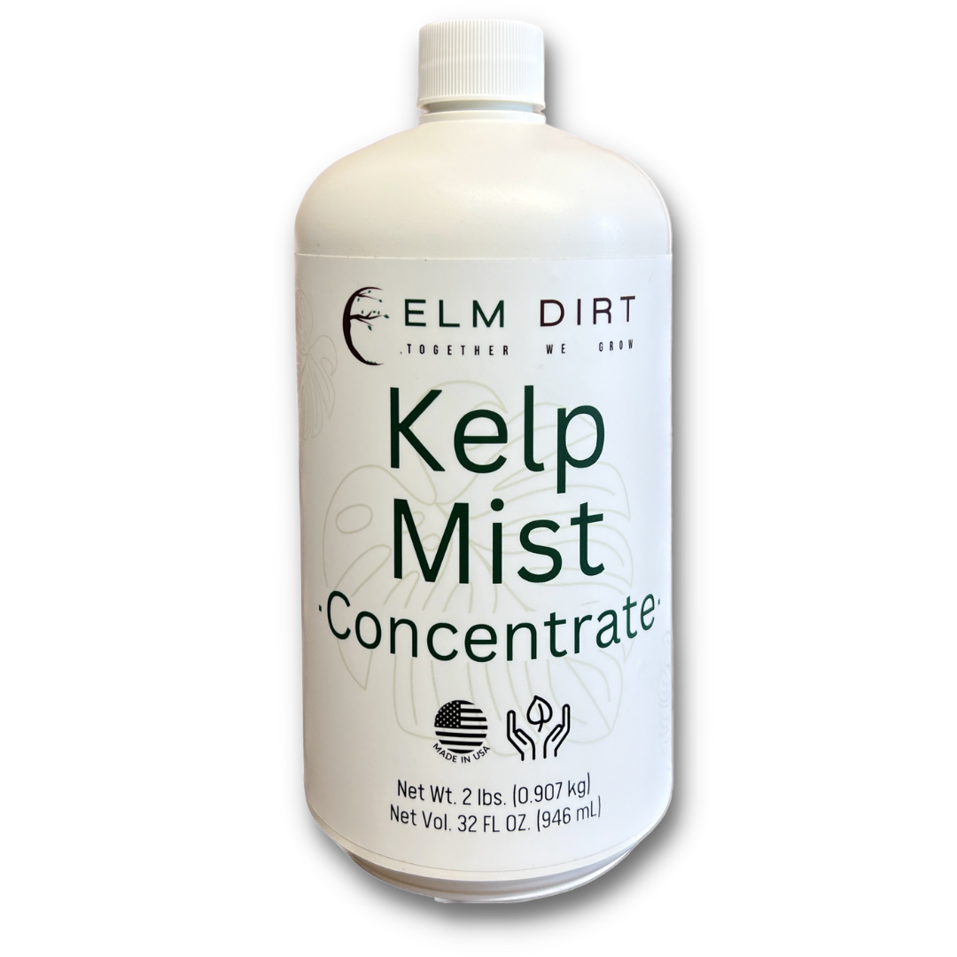 Elm Dirt Kelp Mist in a 16 oz spray bottle, featuring natural kelp extract for plant nourishment and hydration.