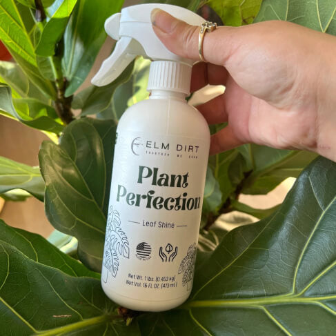 Elm Dirt Plant Perfection 16 oz bottle with plant care solution for healthy, vibrant indoor and outdoor plants