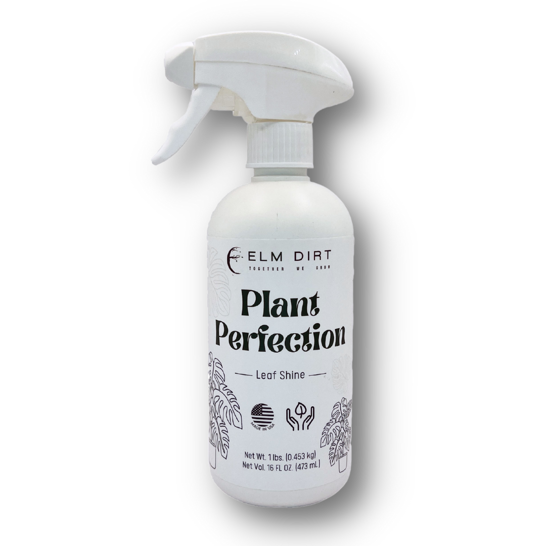 Elm Dirt Plant Perfection 16 oz bottle with plant care formula for healthy, vibrant indoor and outdoor plants.