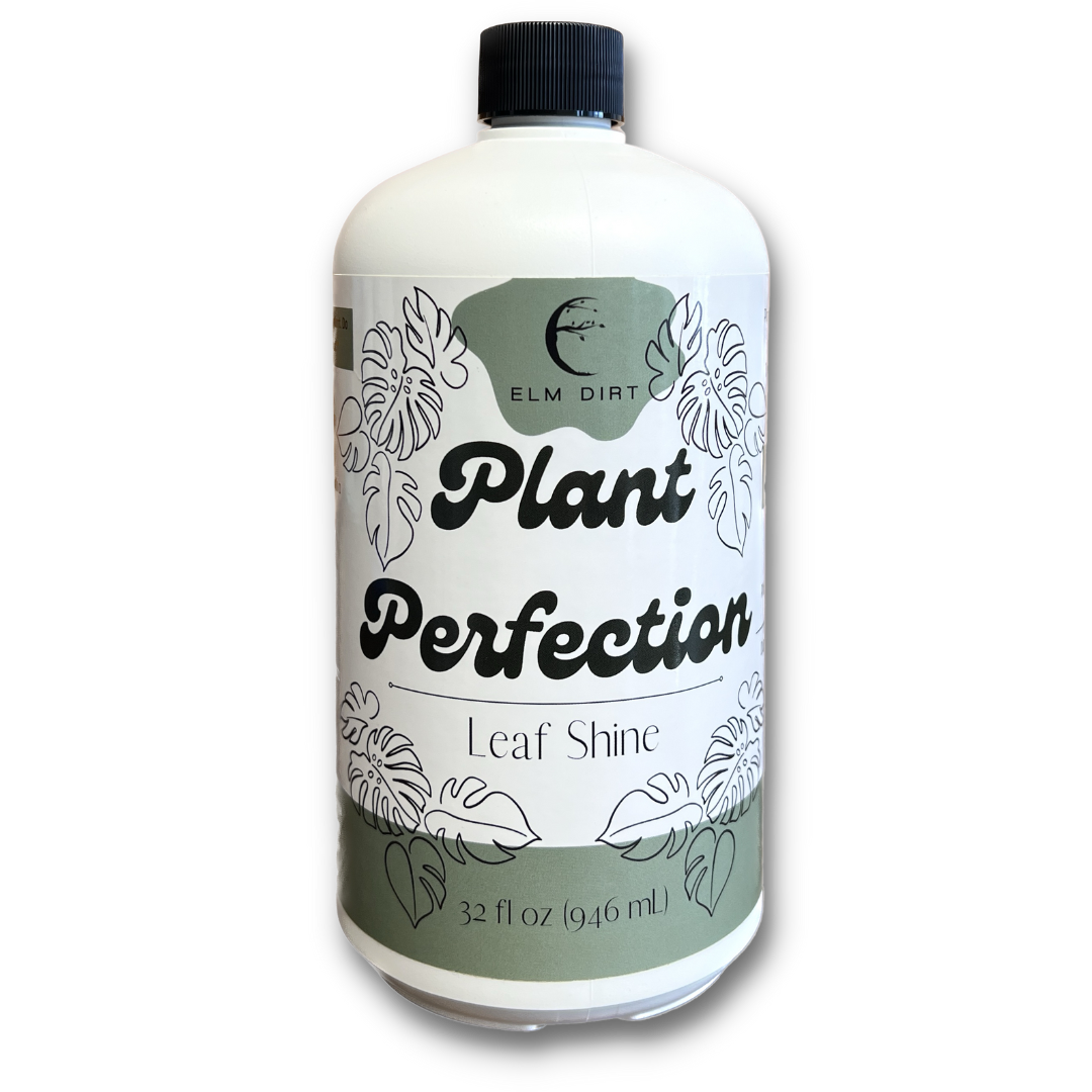 Elm Dirt Plant Perfection 16 oz bottle, with a clear label, featuring plant care instructions and a natural green design.