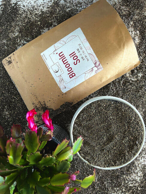 Elm Dirt Bloomin' Soil organic flower booster bag with blooming flowers and healthy plant roots, for bigger, longer-lasting blooms.