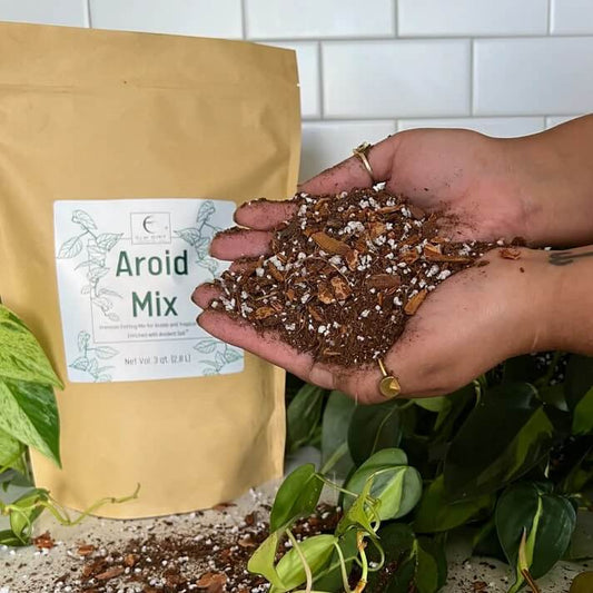 Three-quart bag of Elm Dirt Aroid Mix with soil and organic matter for indoor plant cultivation