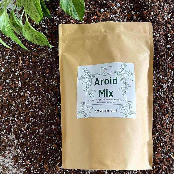 Elm Dirt Aroid Mix in a container, featuring a blend of soil and organic materials suitable for aroids, with visible plant roots.