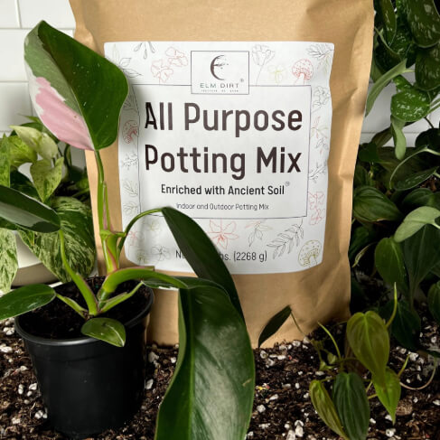 Elm Dirt All-Purpose Soil Mix in 5 lbs bag, showing rich, dark soil ideal for gardening and planting projects.