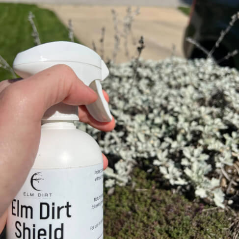 Elm Dirt's Shield all-natural pesticide spray bottle with label, designed for organic pest control in gardens.