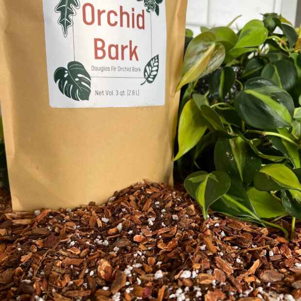 Elm Dirt Orchid Bark, natural decorative bark for orchids and plants, showing textured brown bark pieces suitable for potting.