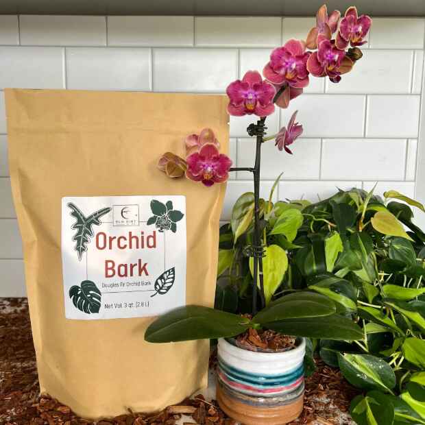 Elm Dirt Orchid Bark, natural decorative bark mulch for orchids and plants, showing textured, brown bark pieces in the image.