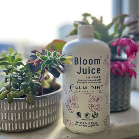 Elm Dirt Bloom Juice fertilizer bottle with label showing award-winning formula for promoting spectacular flowers.